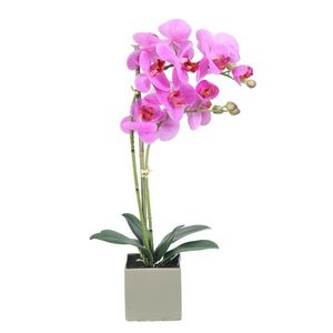 Orquidea Fucsia 54 Cm 1 Pz