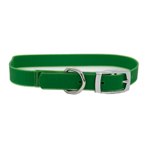 Collar Para Perro a Prueba de Agua Verde M 1 Pz