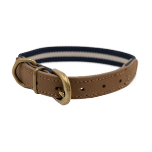 Collar Para Perro Casual Blanco Y Azul Ch 1 Pz