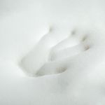 image-43f39eb63dee499eb6473ee4aeec2b8e