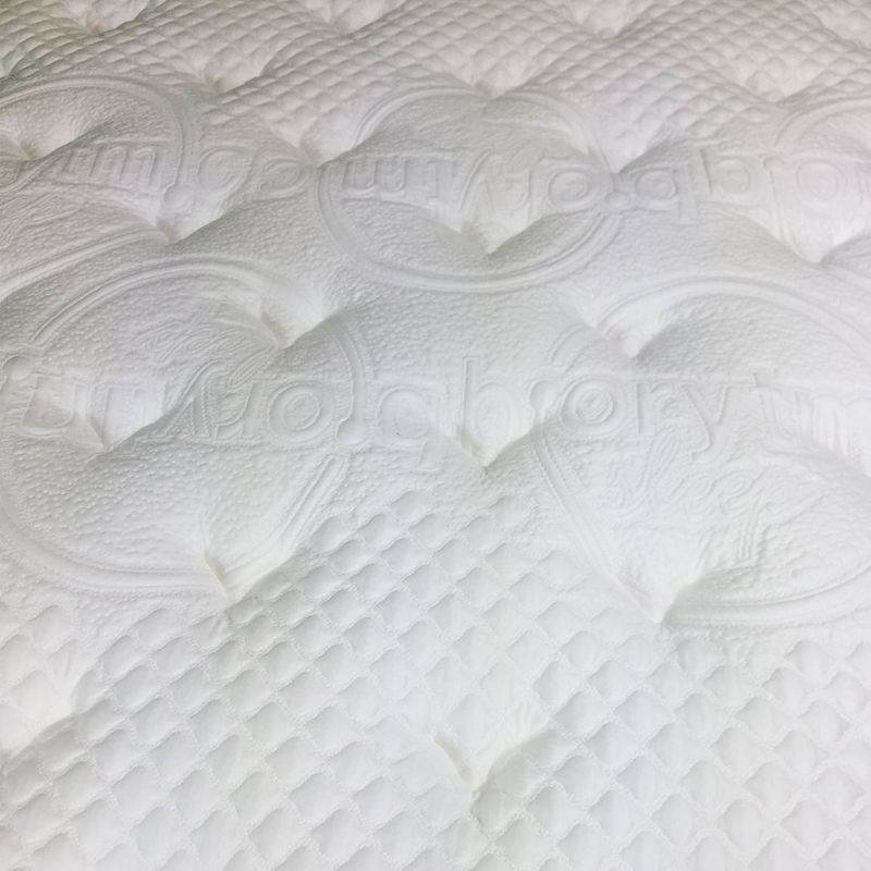 image-0aa70e044e474a0cb5ea18696ece0e16